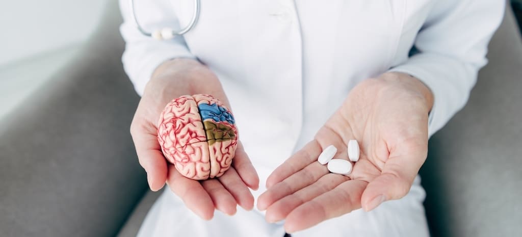 cropped view of doctor holding model of brain and pills