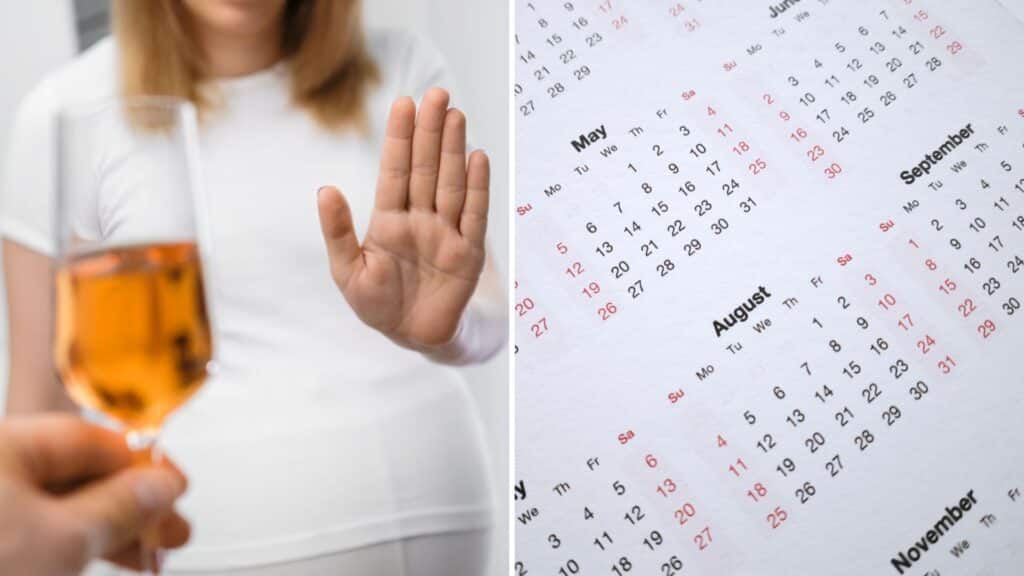 A split image of a woman refusing alcohol and a calendar for the topic quitting drinking timeline.